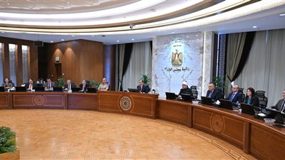 لماذا تبدأ مصر تدقيق أعداد اللاجئين؟.. متحدث الحكومة يجيب