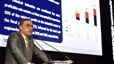 رئيس هيئة الاستثمار يكشف تفاصيل اتفاقية حماية الاستثمارات المتبادلة بين مصر والسعودية