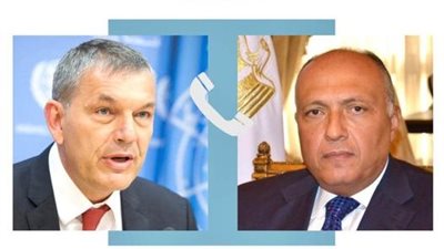 شكري يؤكد ضرورة وقف الانتهاكات الإسرائيلية ضد المدنيين في غزة