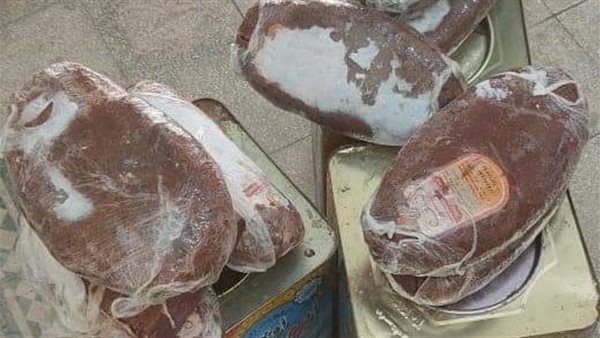 جانب من الحملة 