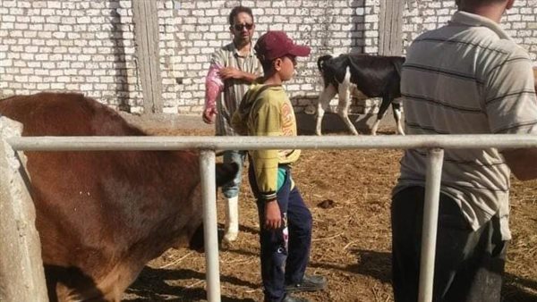 جانب من حملات سابقة