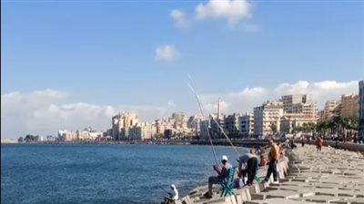 طقس لطيف وسماء صافية بالإسكندرية رغم التحذيرات من نوة المكنسة| بث مباشر 