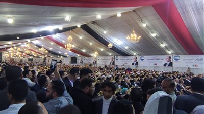 المئات بمحافظة المنوفية يشاركون في مؤتمر حاشد لدعم الرئيس السيسي