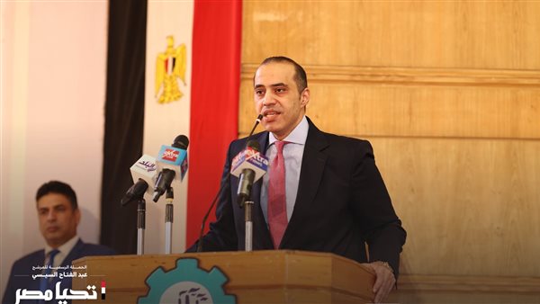 المستشار محمود فوزي