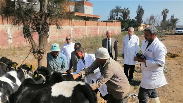 تحصين ضد الحمى القلاعية