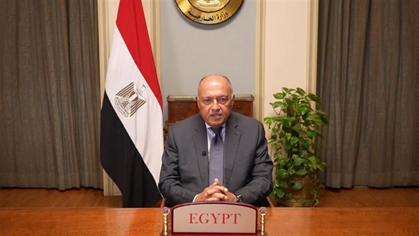 سامح شكري وزير الخارجية