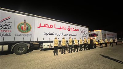40 شاحنة.. وصول أكبر قافلة مساعدات من بيت الزكاة والصدقات المصري إلى معبر رفح  