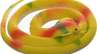 تفسير حلم ثعبان يهاجمني.. يشير إلى العدو والمرض