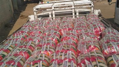 خفض الأسعار.. طرح ألف كرتونة غذائية مدعمة وتحرير 8 محاضر مخالفة بـ4 مراكز بالمنيا