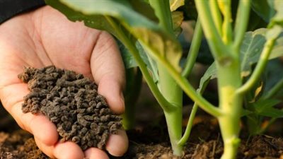 رخيص ومتوافر.. باحثون يعملون على تحويل البول البشري إلى سماد عضوي