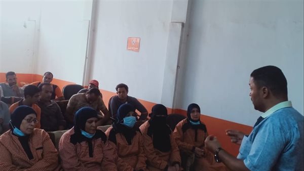 الوادي الجديد