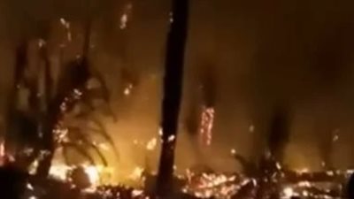 بسبب الرياح.. نفوق 5 آلاف طائر نتيجة نشوب حريق بإحدى المزارع بالدقهلية | بث مباشر 