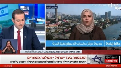 داليا زيادة في حوار مع التليفزيون الإسرائيلي: أؤيد الحرب على غزة بنسبة 100% | فيديو