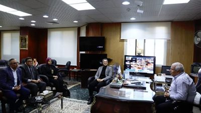 محافظ الوادي الجديد يلتقي رئيس هيئة قصور الثقافة.. ويشيد بمشروع ابدأ حلمك