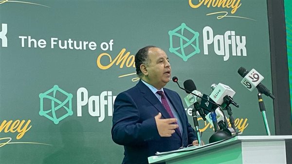 وزير المالية 