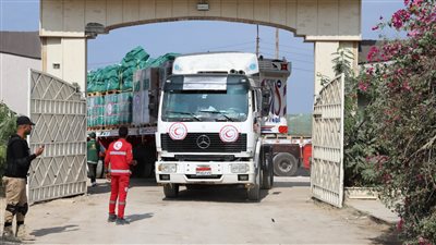 التضامن: أكثر من 14.5 طن من المساعدات الإغاثية وصلت إلى غزة 