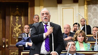 رئيس برلمانية مستقبل وطن: الحكومة استجابت لملاحظات على النسخة الأولى من مشروع الإيجار القديم