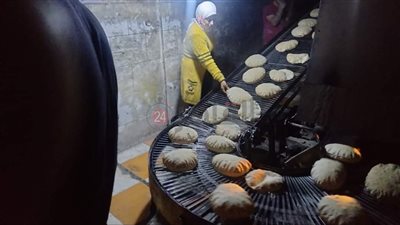 تحرير 29 محضرًا لمخابز بدسوق في حملة مكبرة بكفر الشيخ