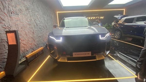  سانج يونج توريس