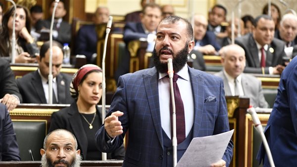 النائب أحمد خليل