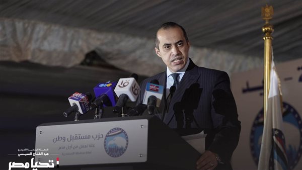 المستشار محمود فوزي