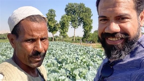 بدء جنى الكرنب بالأقصر