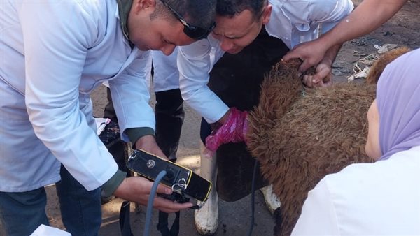 قافلة بيطرية في قرية