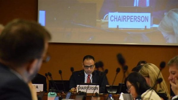 الوزير المفوض باسم