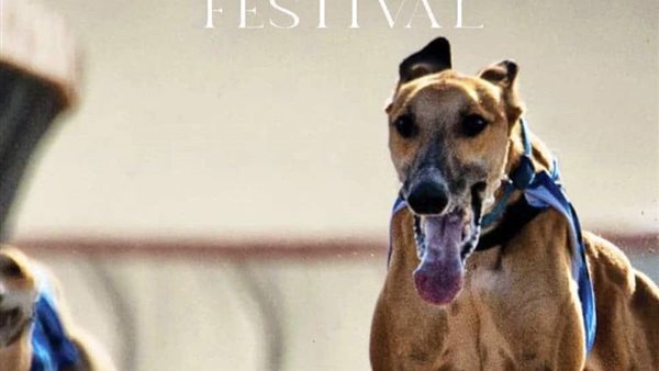 المهرجان العالمي