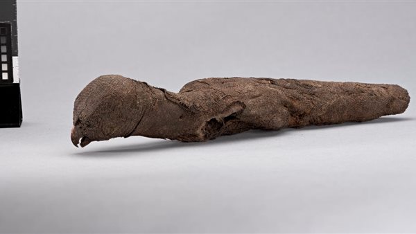  الآثار تسترد قطع