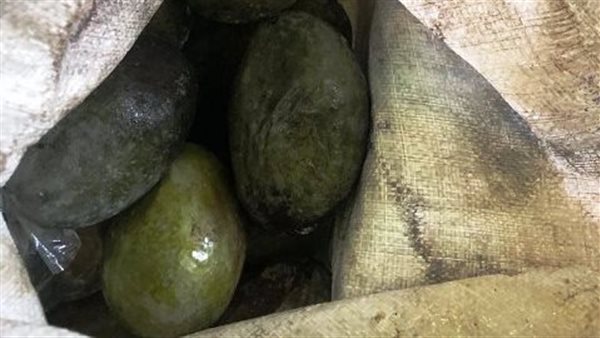 جانب من المضبوطات