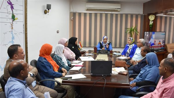 نائبة محافظ أسوان