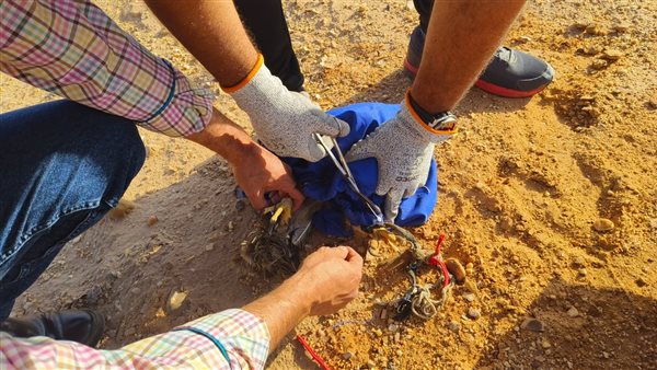  ضبط أحد تجار ومروجي