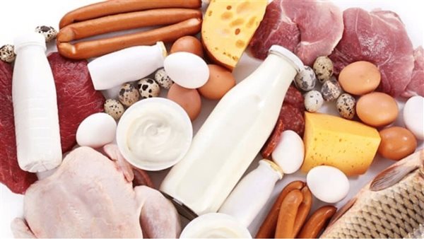 المنتجات الحيوانية