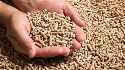 تراجع أسعار أعلاف الدواجن والماشية.. وطن التسمين يسجل 24900 جنيه 