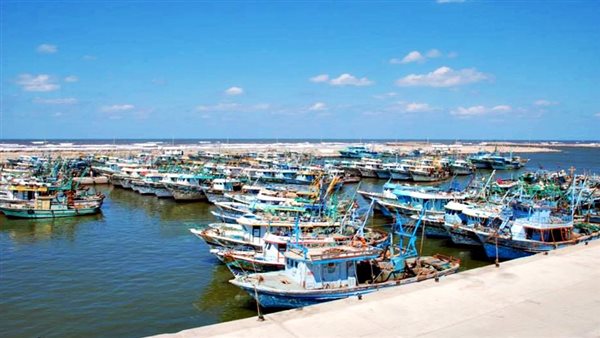 ميناء البرلس