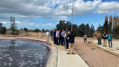 الإسكان: 2.6 مليار جنيه تكلفة مشروعات البنية التحتية لمدينة برج العرب الجديدة 