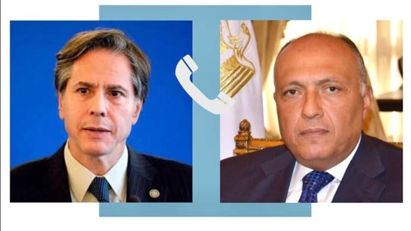 سامح شكري وأنتوني