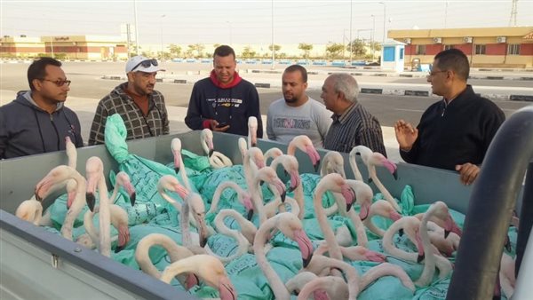 البيئة تعيد إطلاق