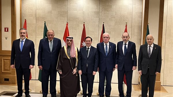 اللجنة العربية الإسلامية