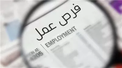 فرص عمل جديدة من وزارة العمل والتقديم متاح.. الشروط والأوراق المطلوبة