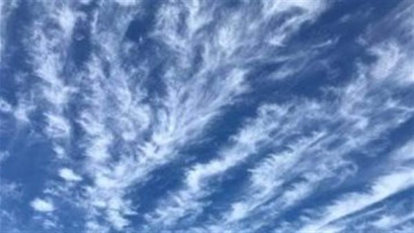 الريش المداري