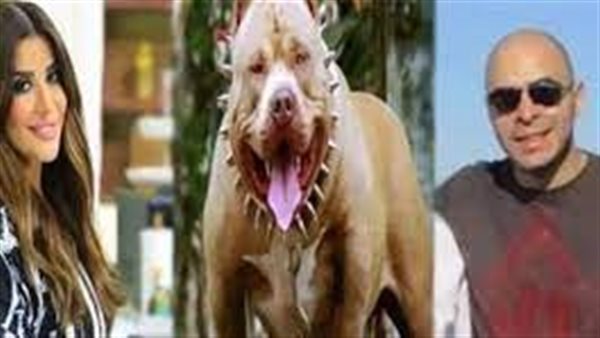 ضحية كلب المذيعة