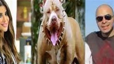 بدلا من 3 سنوات.. الحبس 6 أشهر لزوج المذيعة أميرة شنب بواقعة عقر كلب | بث مباشر