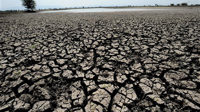 الزراعة تحذر من مشاكل جديدة في المحاصيل بسبب تغير المناخ