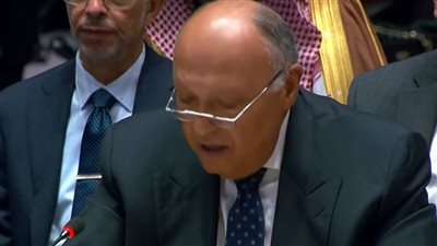 وزير الخارجية: هناك انتهاكات جسيمة في غزة لا يمكن تبريرها تحت أي ذريعة