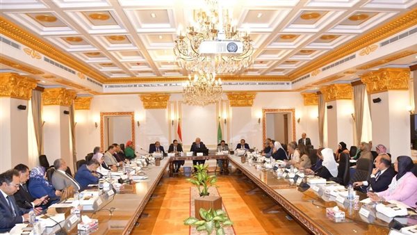 مجلس جامعة القاهرة