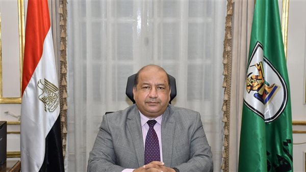 نائب رئيس جامعة القاهرة