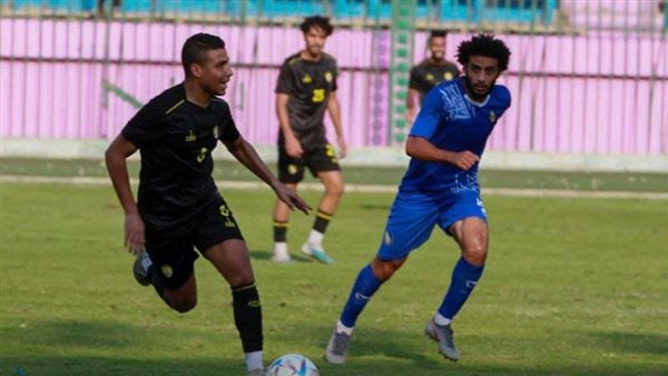 دوري المحترفين