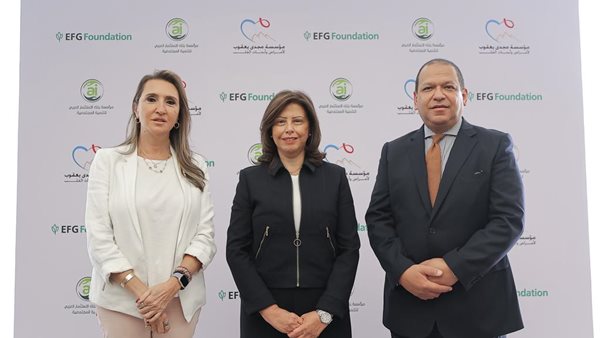 مؤسسة إي اف چي